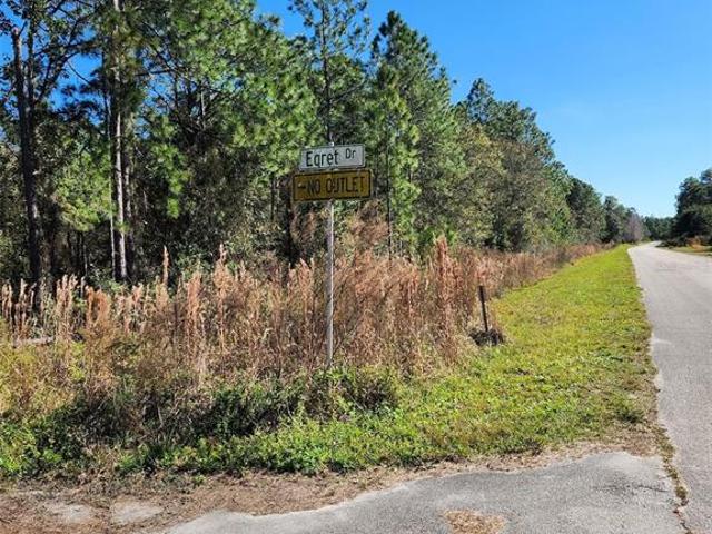 Land for sale in Babson Park, Florida