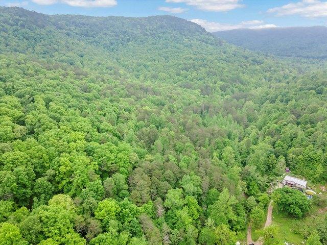 Land for sale in Trenton, Georgia