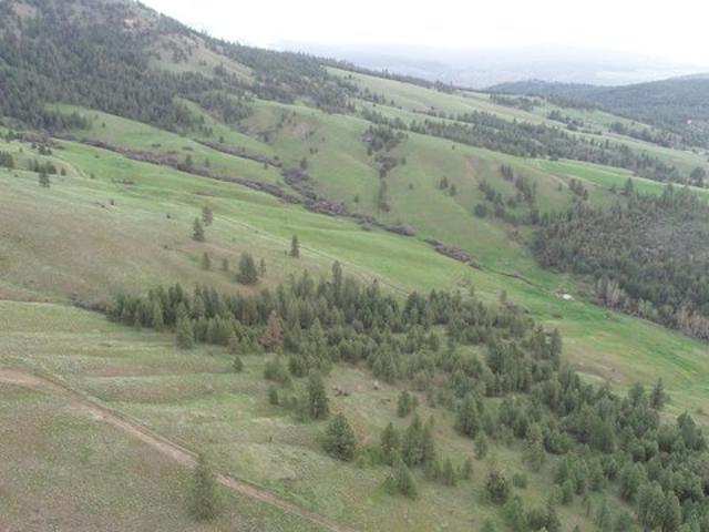 Land for sale in Davenport, Washington