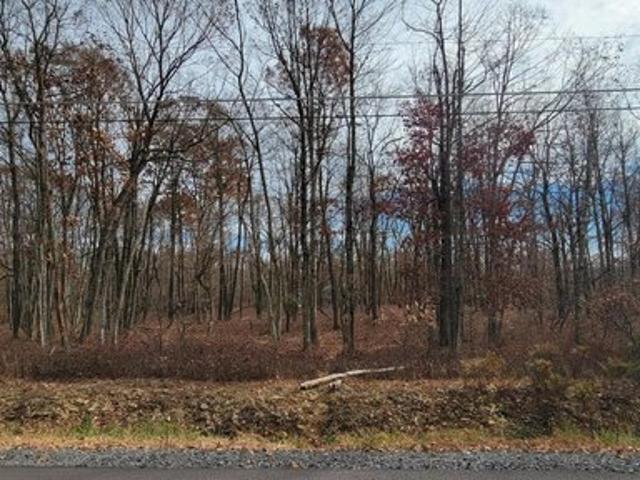 Land for sale in Harleigh, Pennsylvania