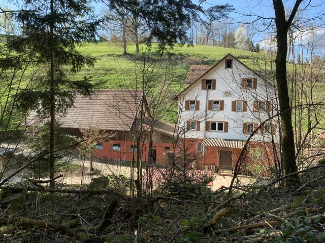Gewerbe kaufen in Nahe, Schleswig-Holstein