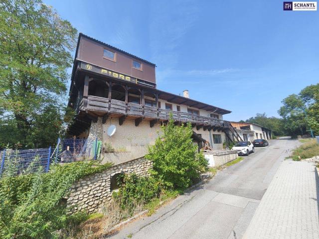 Apartment kaufen in Staatz-Kautendorf, Niederösterreich