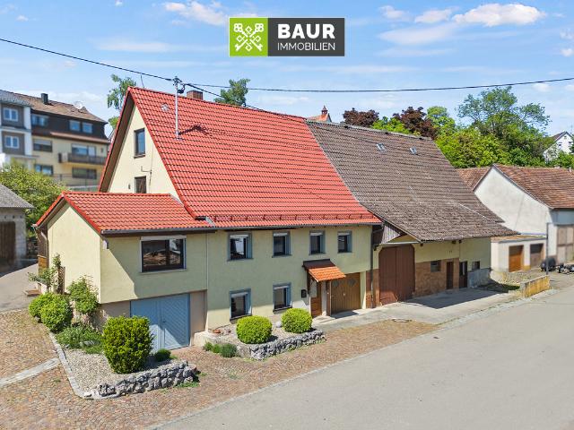 Bauernhaus kaufen in Bingen