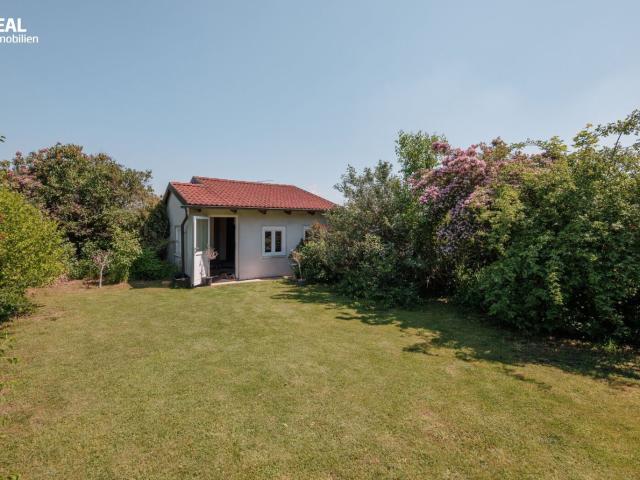Haus kaufen in Kreuzstetten, Niederösterreich