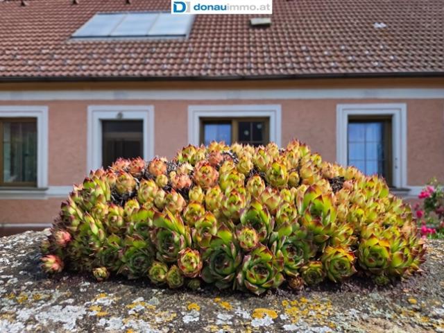 Haus kaufen in Raabs an der Thaya, Niederösterreich