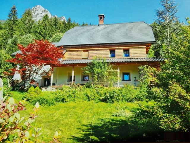 Haus kaufen in Admont