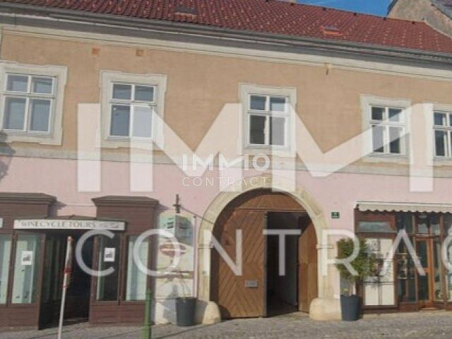 Haus kaufen in Langenlois, Niederösterreich