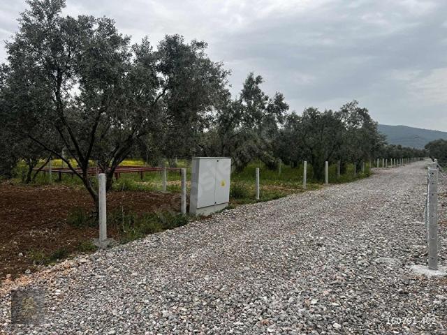 Torbali, İzmir içerisinde satılık mülk