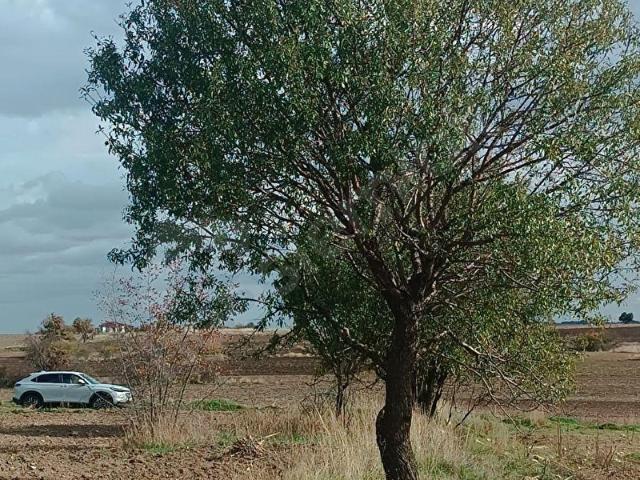 Akalar Mahallesi, Kırklareli Merkez içerisinde satılık Arsa