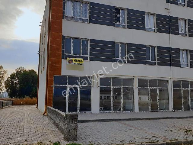 Kocasinan, Kayseri içerisinde kiralık mülk