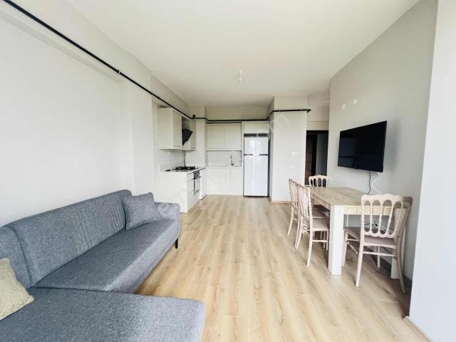 Ordu içerisinde kiralık mülk