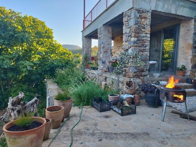 Milas, Muğla içerisinde kiralık mülk