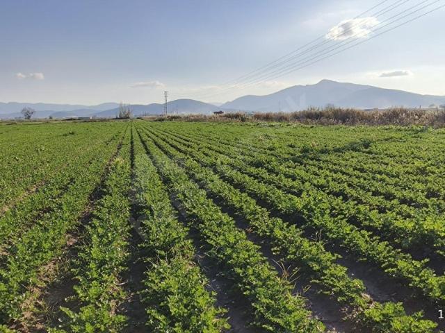 Torbali, İzmir içerisinde satılık Arsa