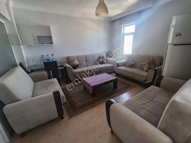Edirne Merkez, Edirne içerisinde kiralık mülk