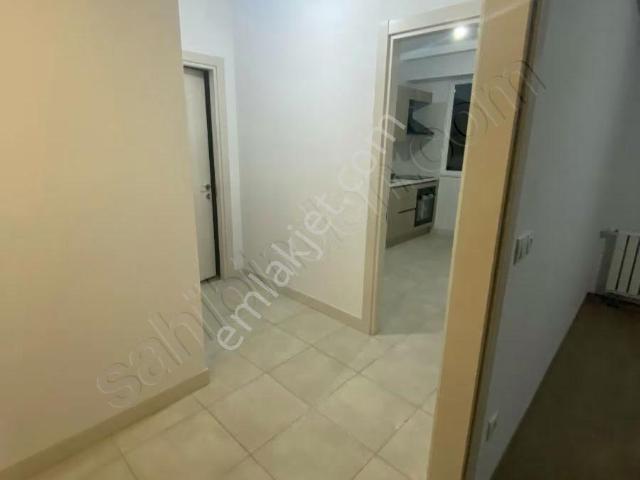 Tuzla, İstanbul içerisinde kiralık mülk
