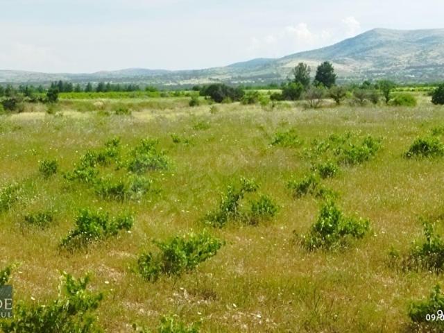 Çal, Denizli içerisinde satılık mülk