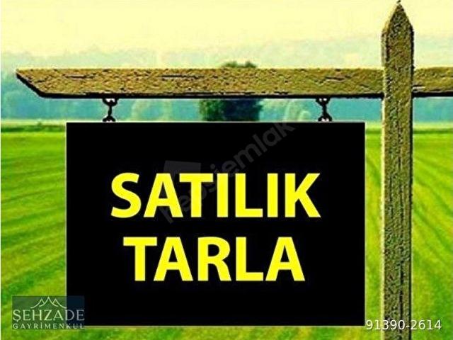 Karahisar, Tavas içerisinde satılık mülk