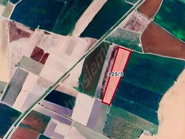 Manisa içerisinde satılık Arsa