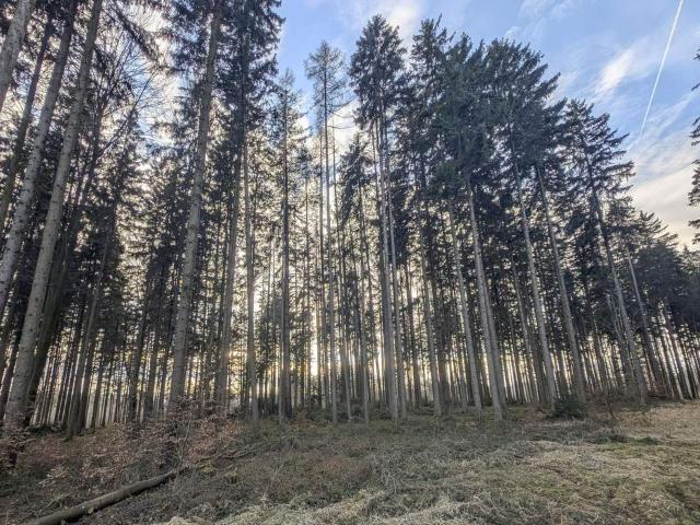 Gewerbe kaufen in Aurachamhongar, Oberösterreich