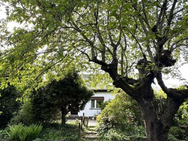 Erdgeschosswohnung kaufen in Markkleeberg, Sachsen