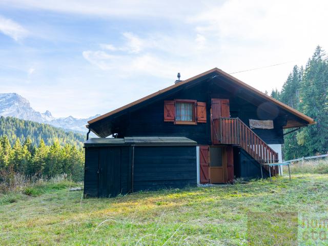 Haus kaufen in Ollon (VS), Waadt