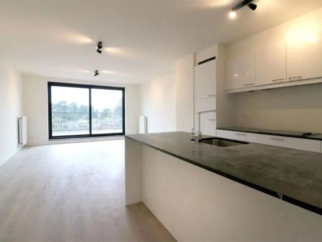 Appartement location à Montaigu-zichem, Brabant