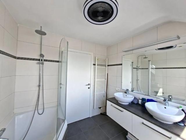Maison location à Maaseik, Limburg