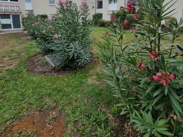 Wohnung kaufen in Ludwigshafen-Oggersheim, Ludwigshafen