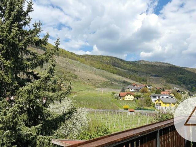 Wohnung kaufen in Spitz, Niederösterreich