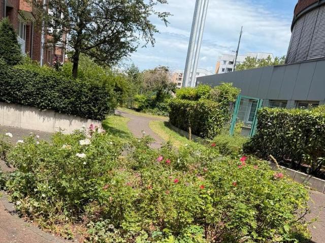 Wohnung kaufen in Mülheim, Köln