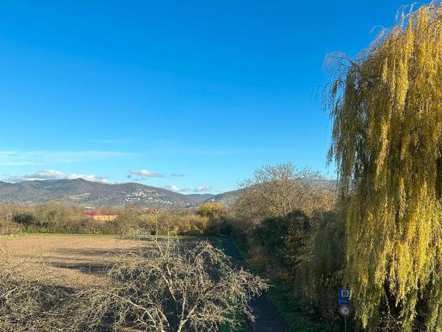 Wohnung kaufen in Ladenburg, Baden-Württemberg