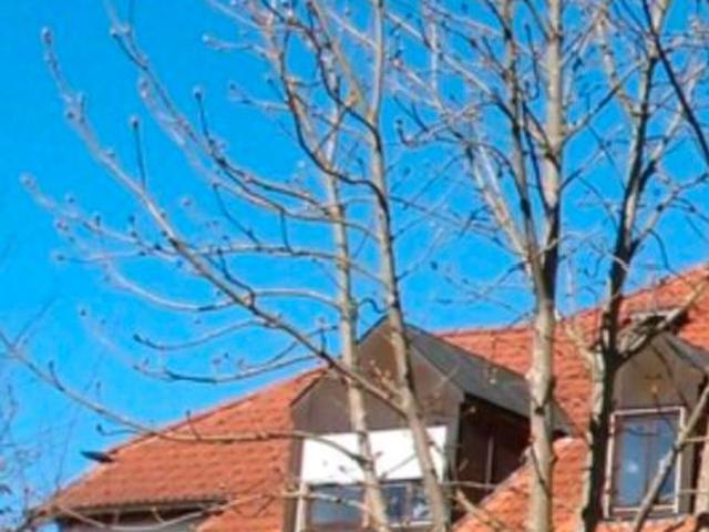 Wohnung kaufen in Heilsbronn, Bayern