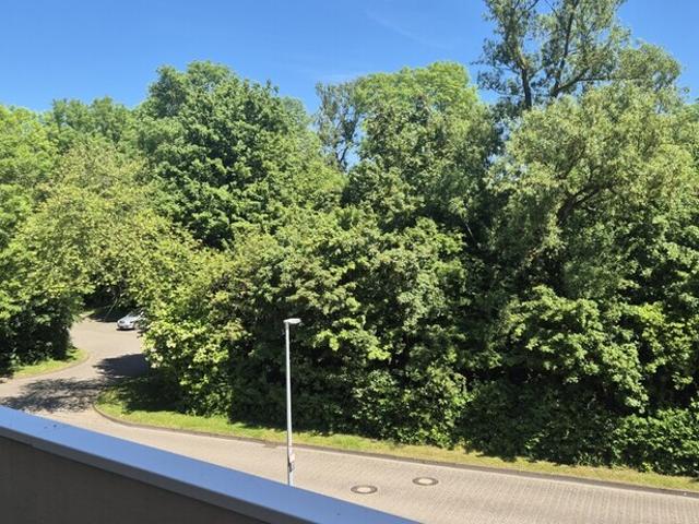 Wohnung kaufen in Schönberg, Schleswig-Holstein