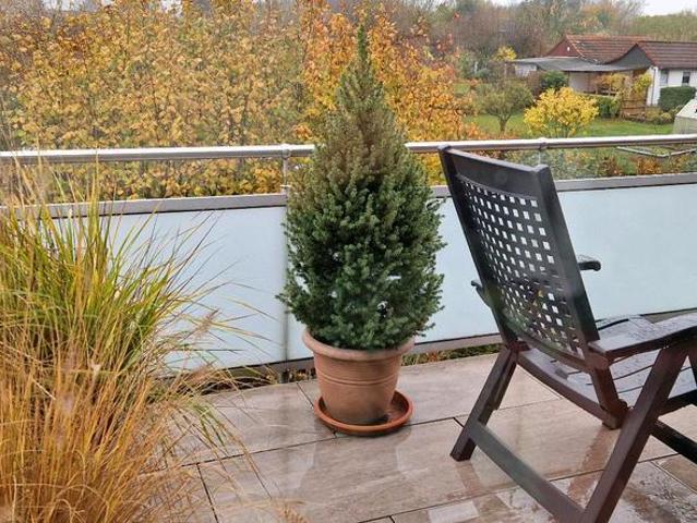 Wohnung kaufen in Margarethenhöhe, Essen