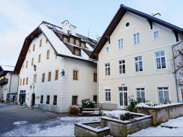 Apartment kaufen in Bad Goisern am Hallstättersee, Oberösterreich