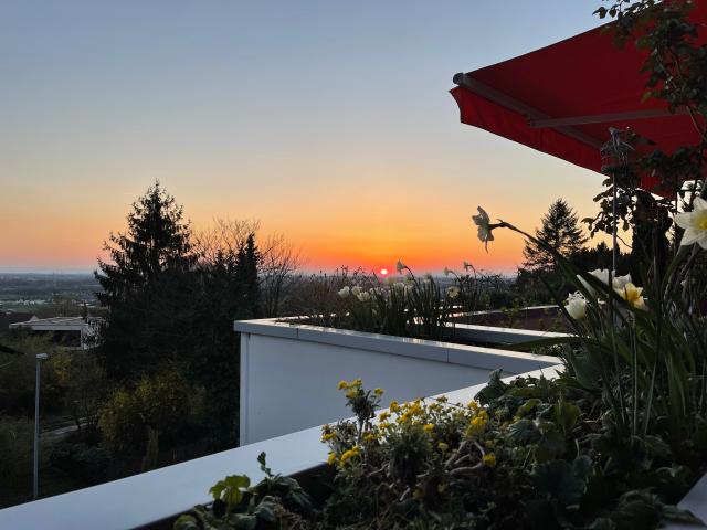 Wohnung kaufen in Weinheim, Baden-Württemberg