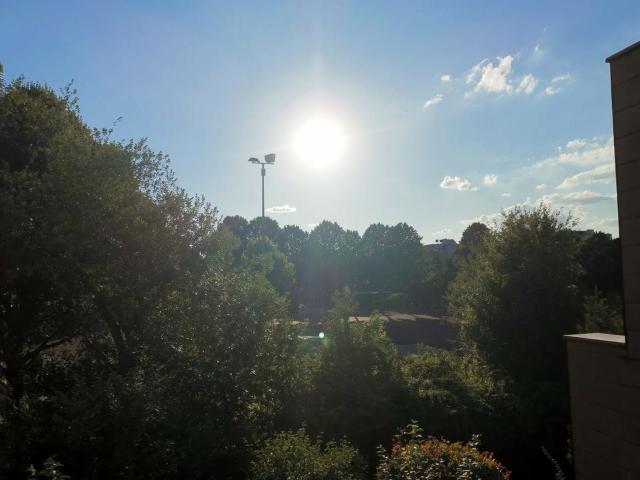 Wohnung kaufen in Lindenthal, Köln
