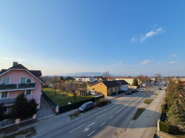 Wohnung kaufen in Baden, Niederösterreich