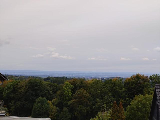 Wohnung kaufen in Menzlingen, Rösrath