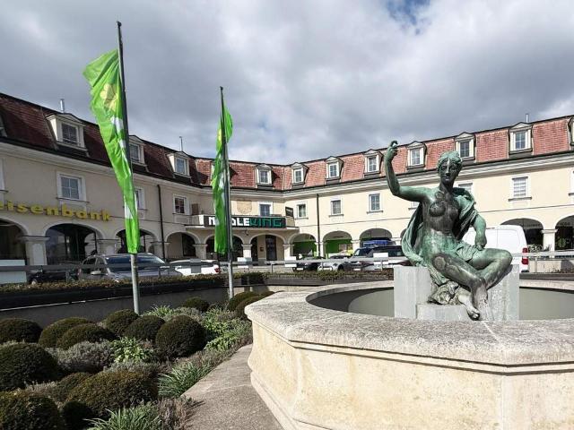Wohnung kaufen in Mödling, Niederösterreich