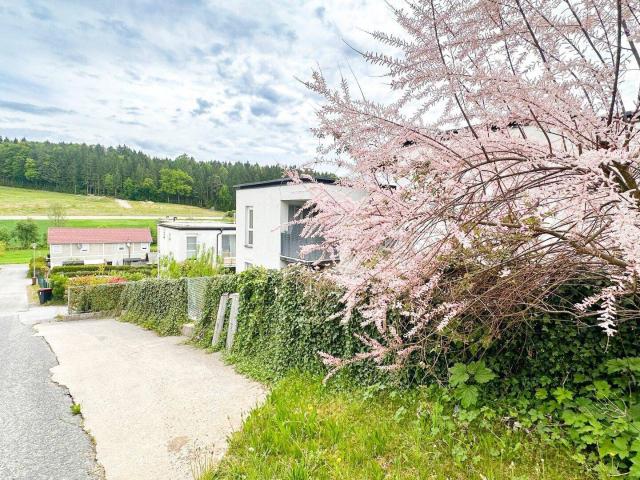 Apartment kaufen in Ludersdorf-Wilfersdorf, Steiermark