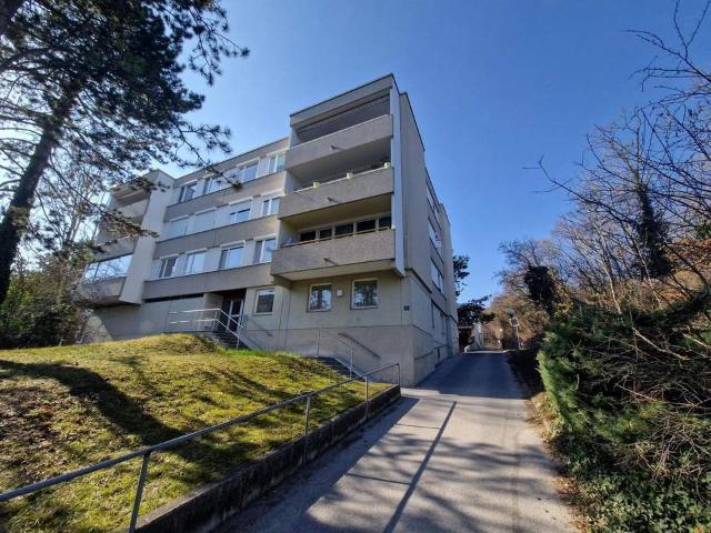 Wohnung kaufen in Baden, Niederösterreich