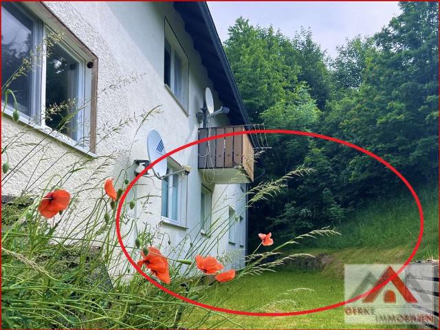 Wohnung kaufen in Willingen, Landkreis Waldeck-Frankenberg