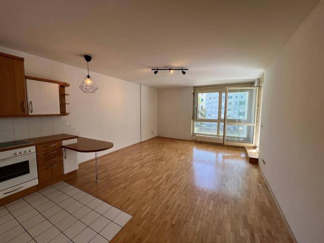 Apartment kaufen in Katastralgemeinde Geidorf, Graz