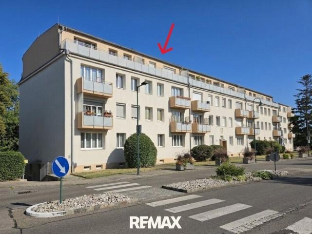 Wohnung kaufen in Bad Vöslau, Niederösterreich