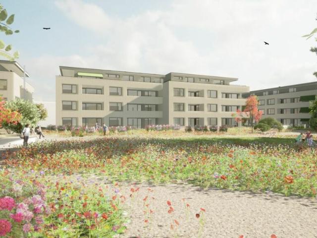 Wohnung kaufen in Müllheim Dorf, Thurgau
