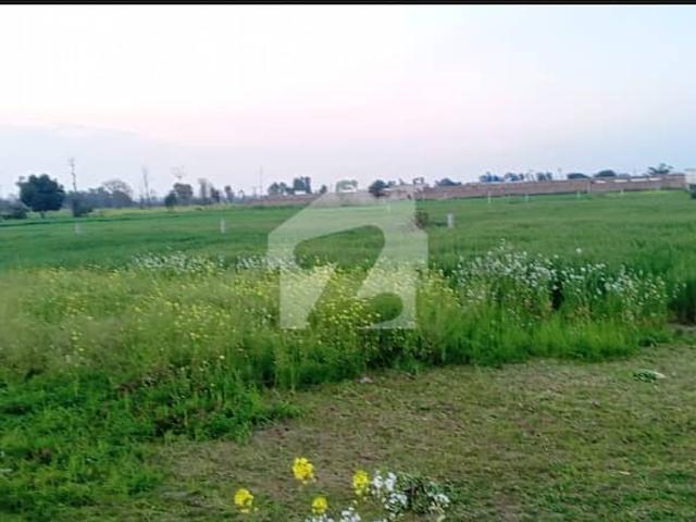 Land for sale in Kasur, Islamabad Capital Territory