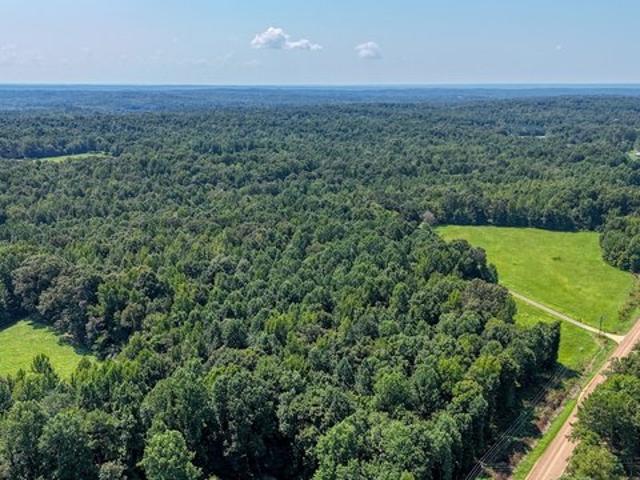 Land for sale in Toone, West Tennessee