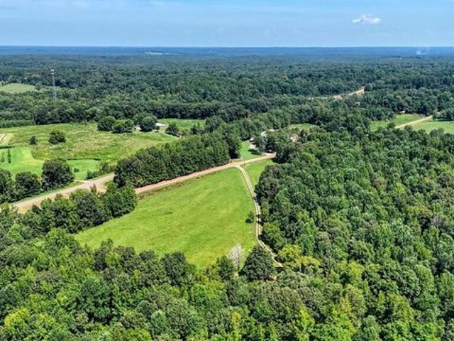 Land for sale in Toone, West Tennessee