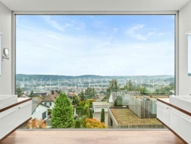 Einfamilienhaus kaufen in Honerethof, Bergdietikon